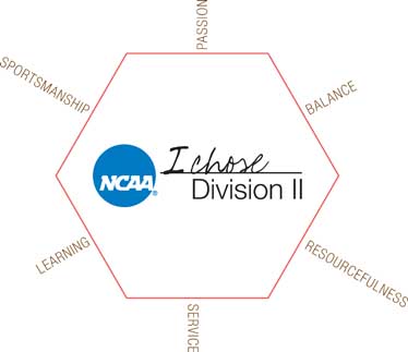 DII hex graphic